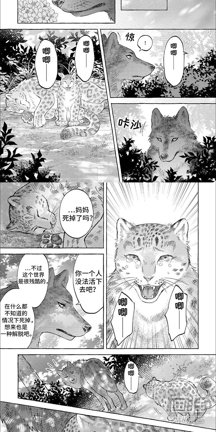 第17章：终究不是他