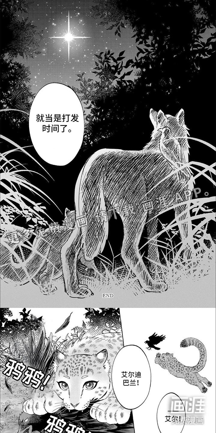第17章：终究不是他