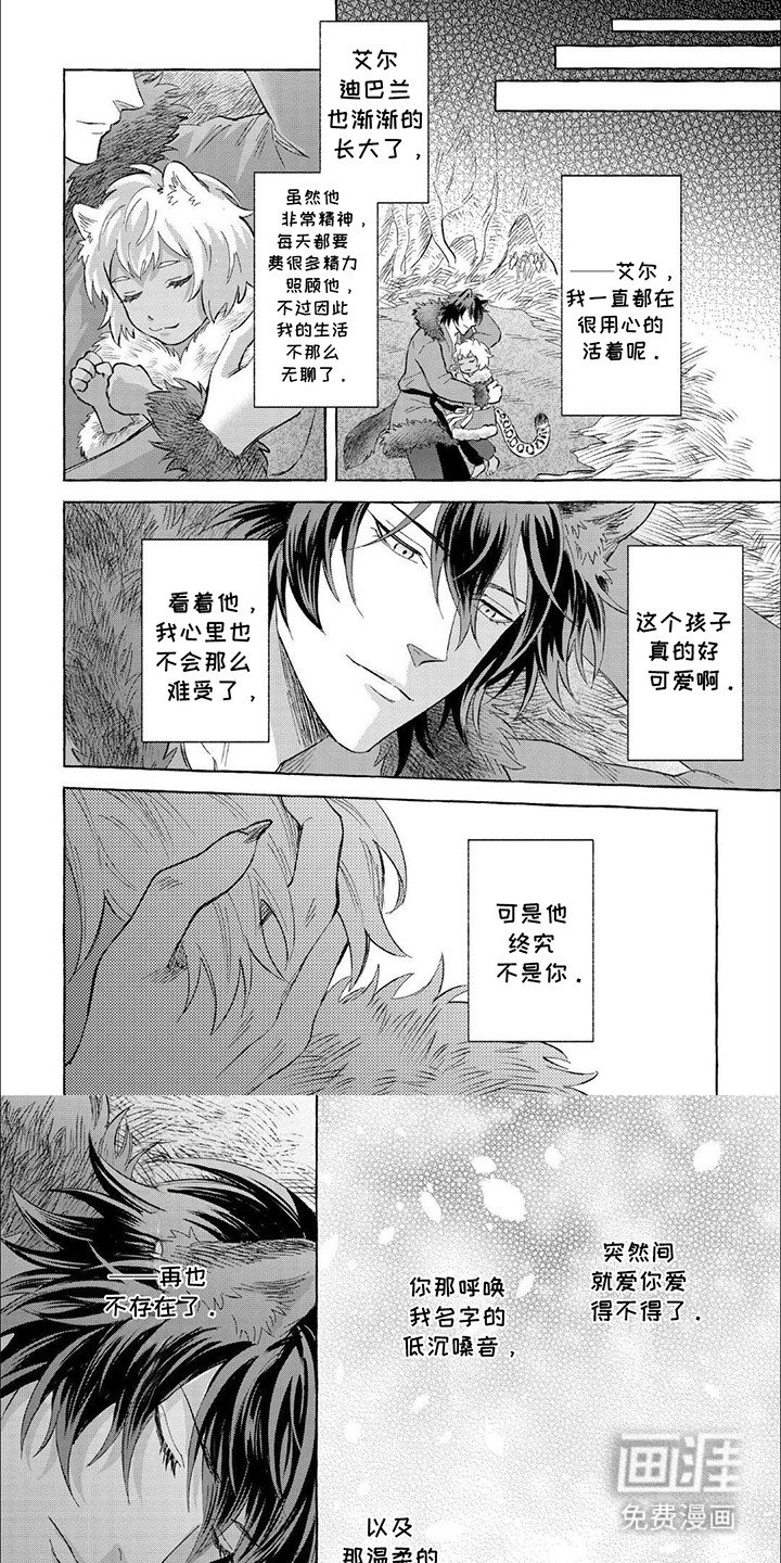 第17章：终究不是他