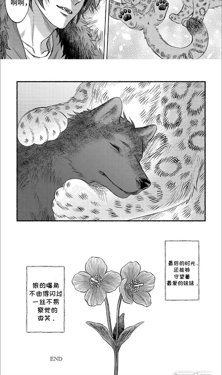 第19章：【番外】等待（完结）
