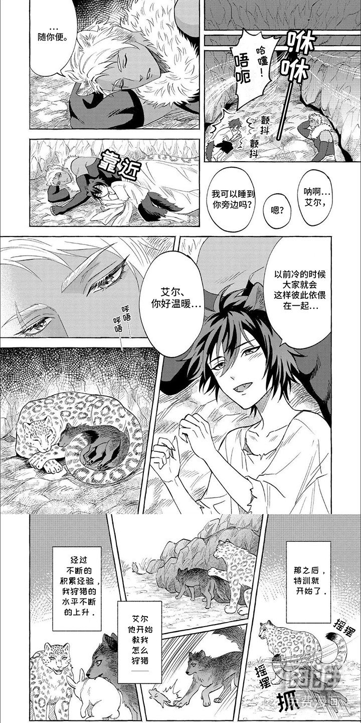 第3章：陪伴