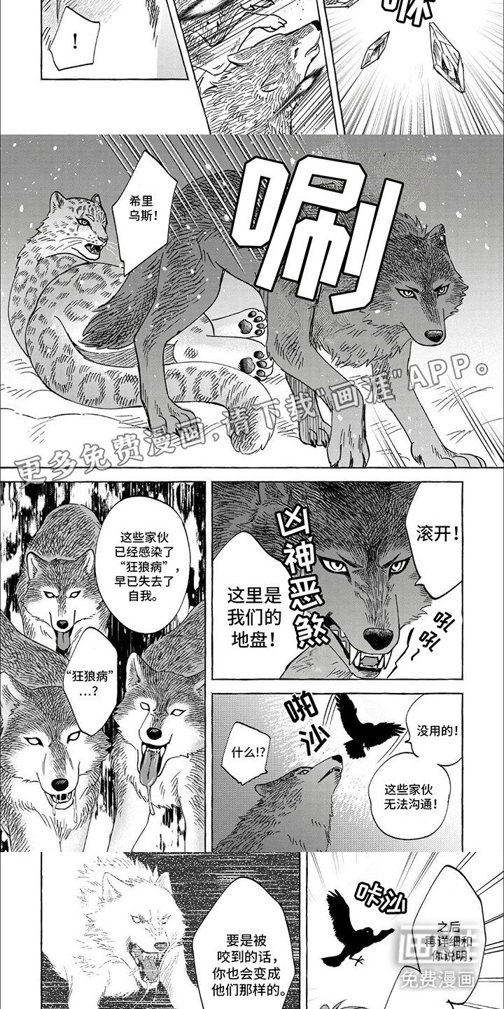 第5章：狂狼病