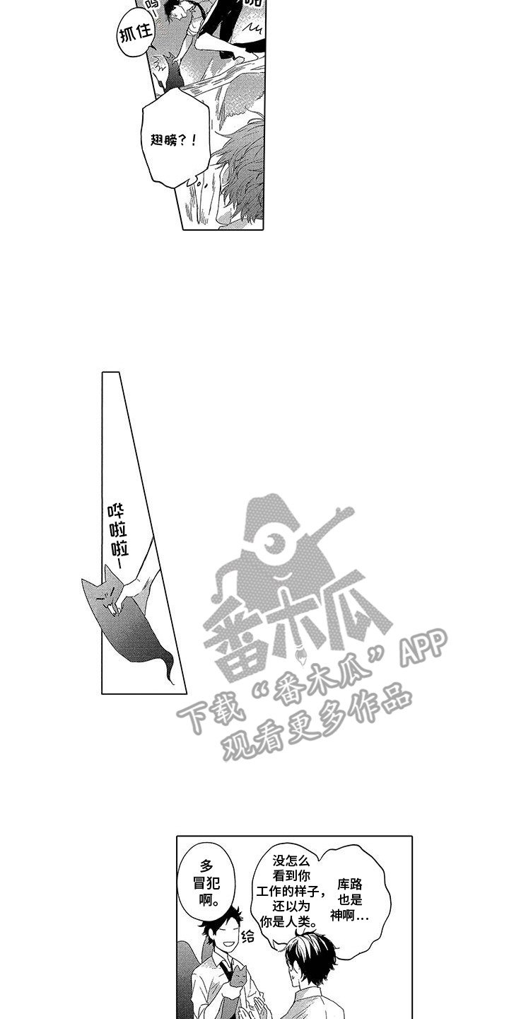 第11章：乌鸦