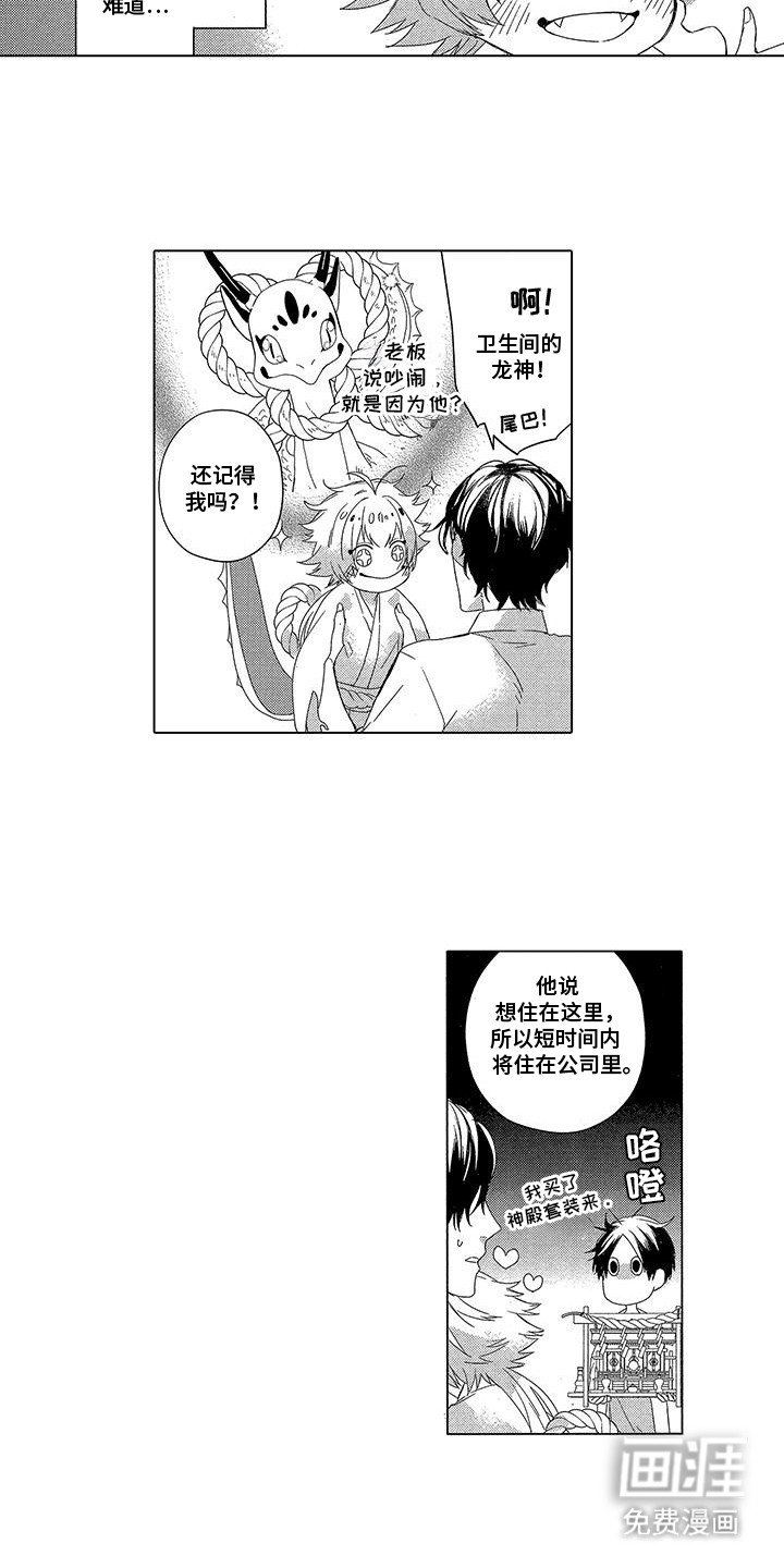 第13章：小龙神