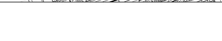 第19章：大猫咪