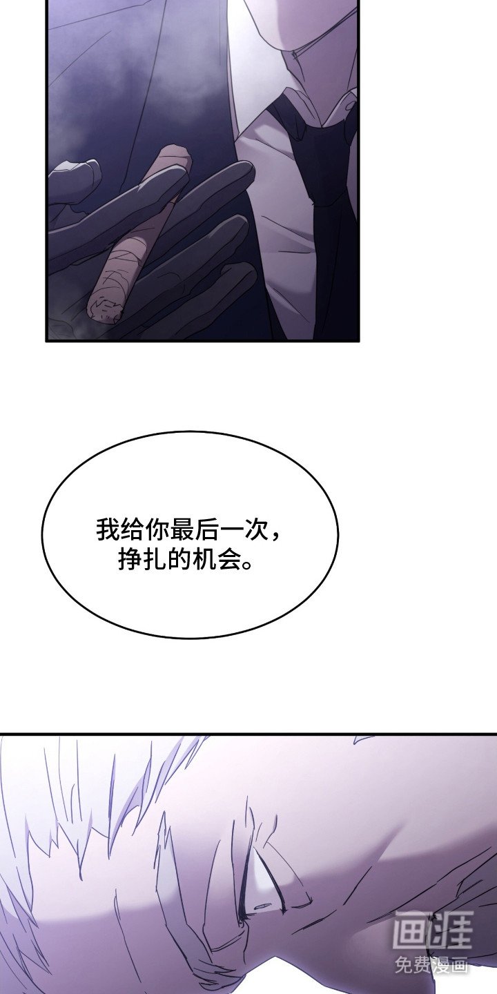 第1章：最后的机会