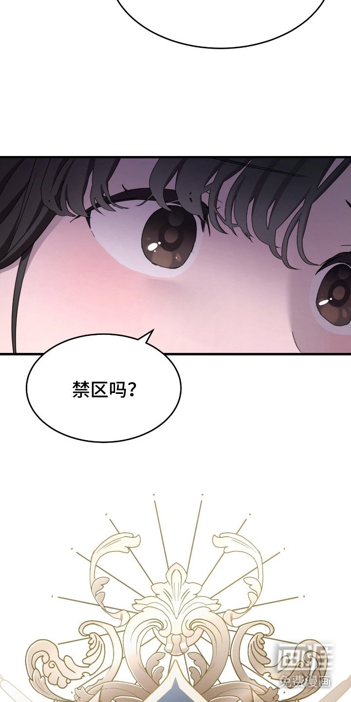第11章：要求