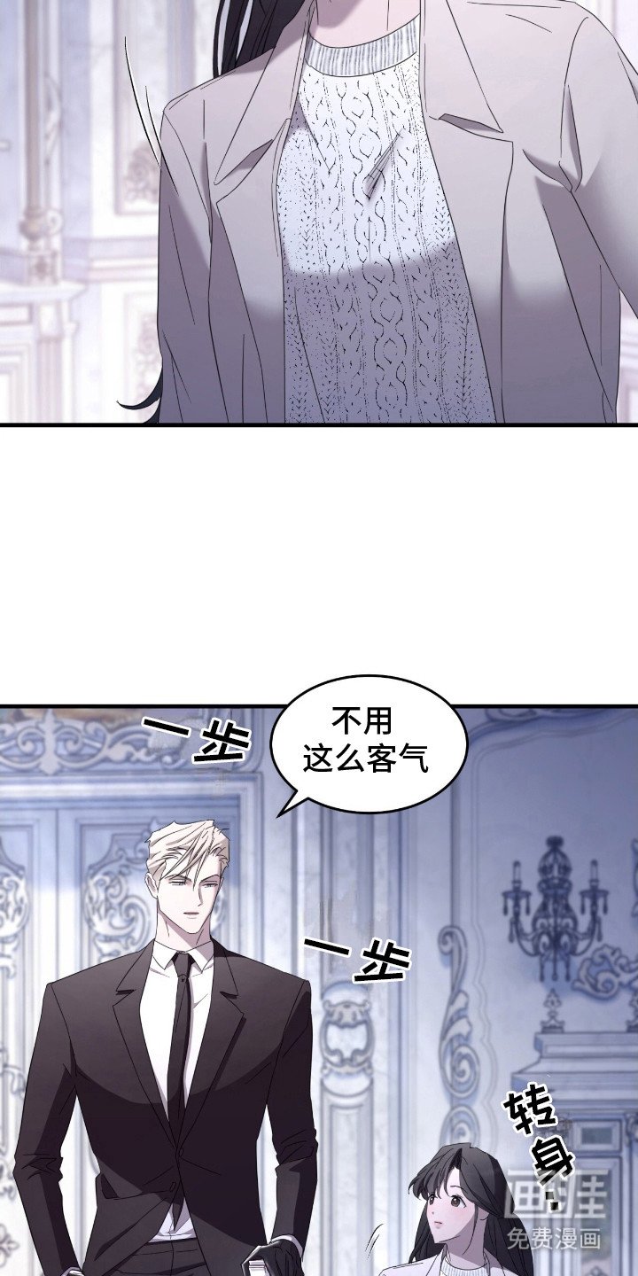 第15章：雪茄