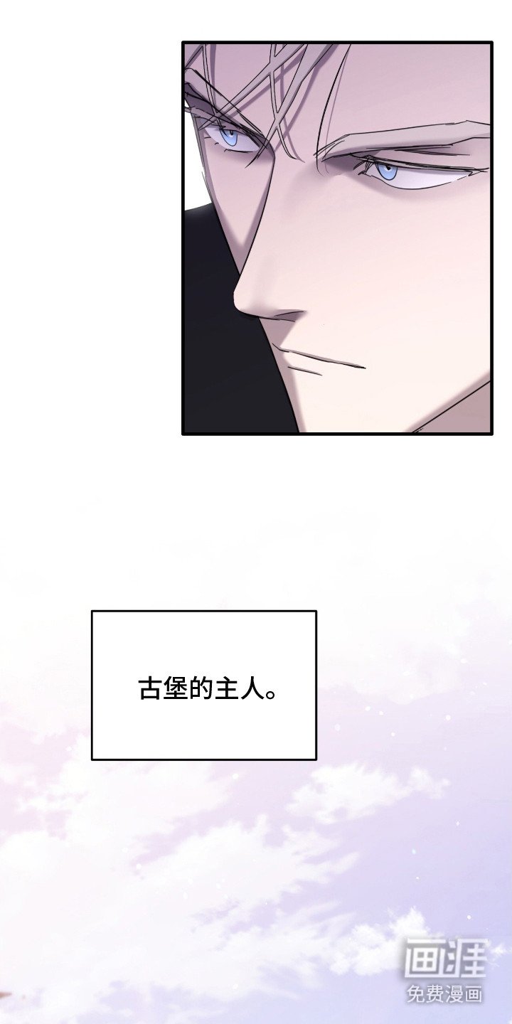 第3章：古堡的主人
