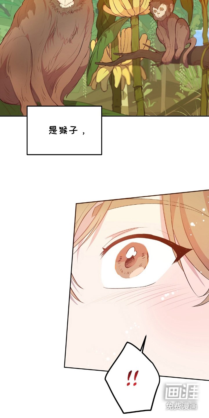 第17章：探索