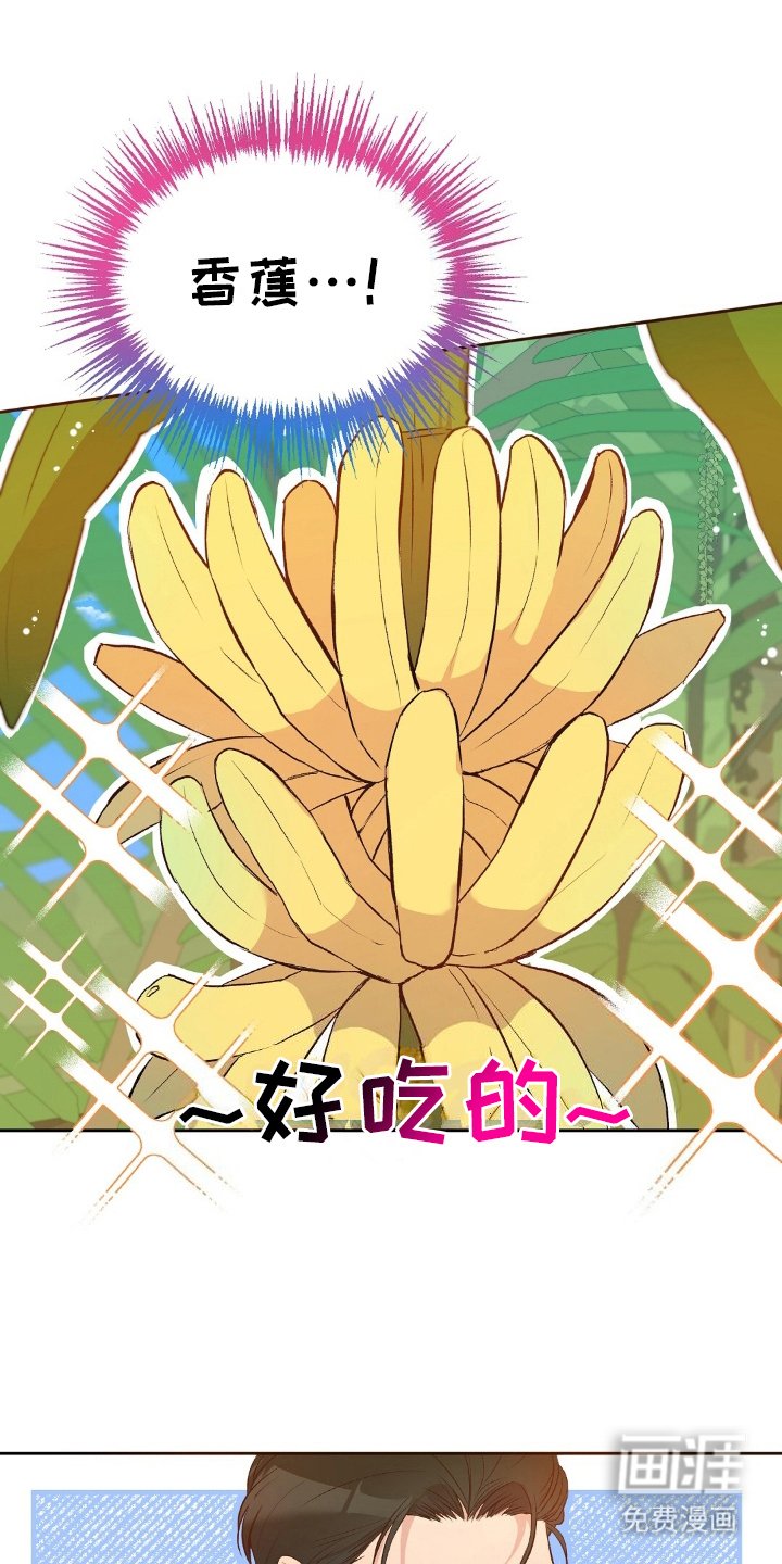 第17章：探索