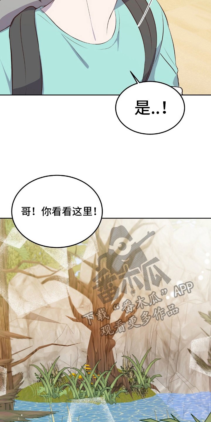 第19章：兴趣