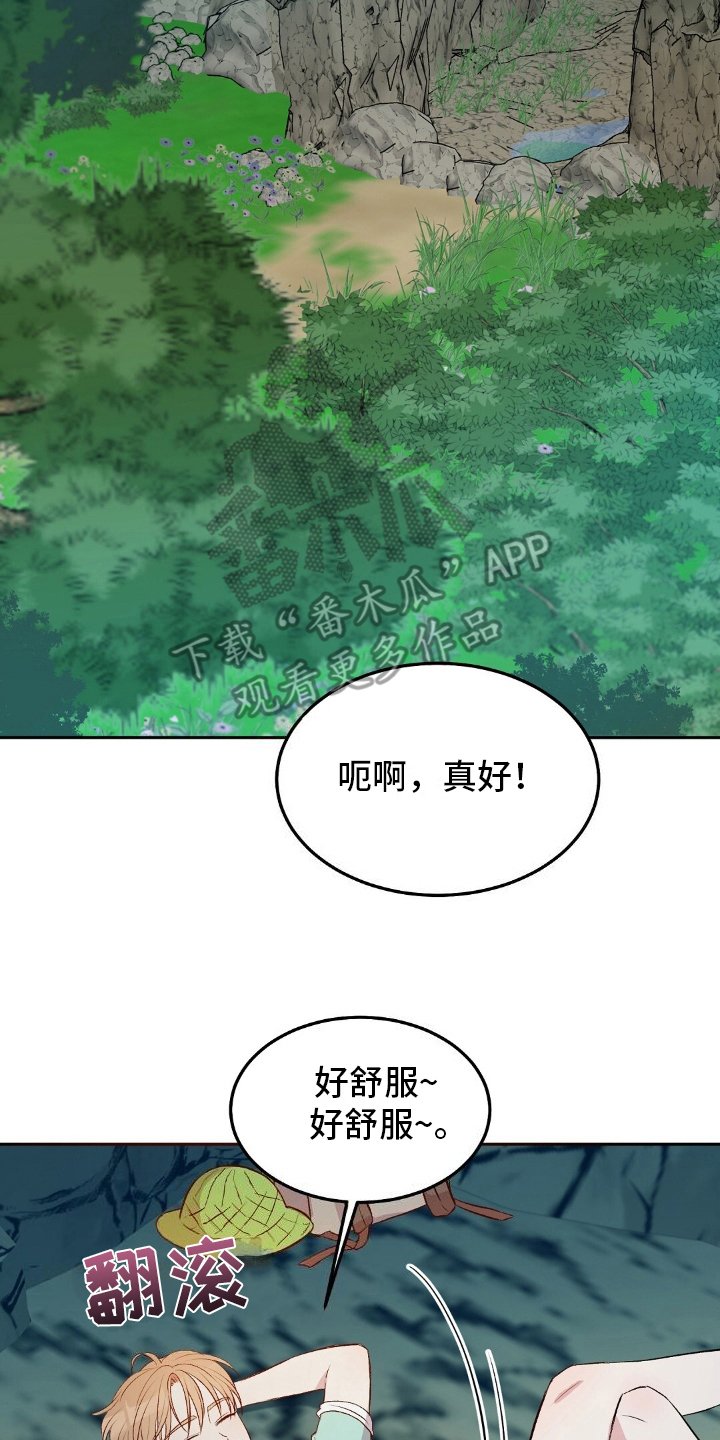 第19章：兴趣