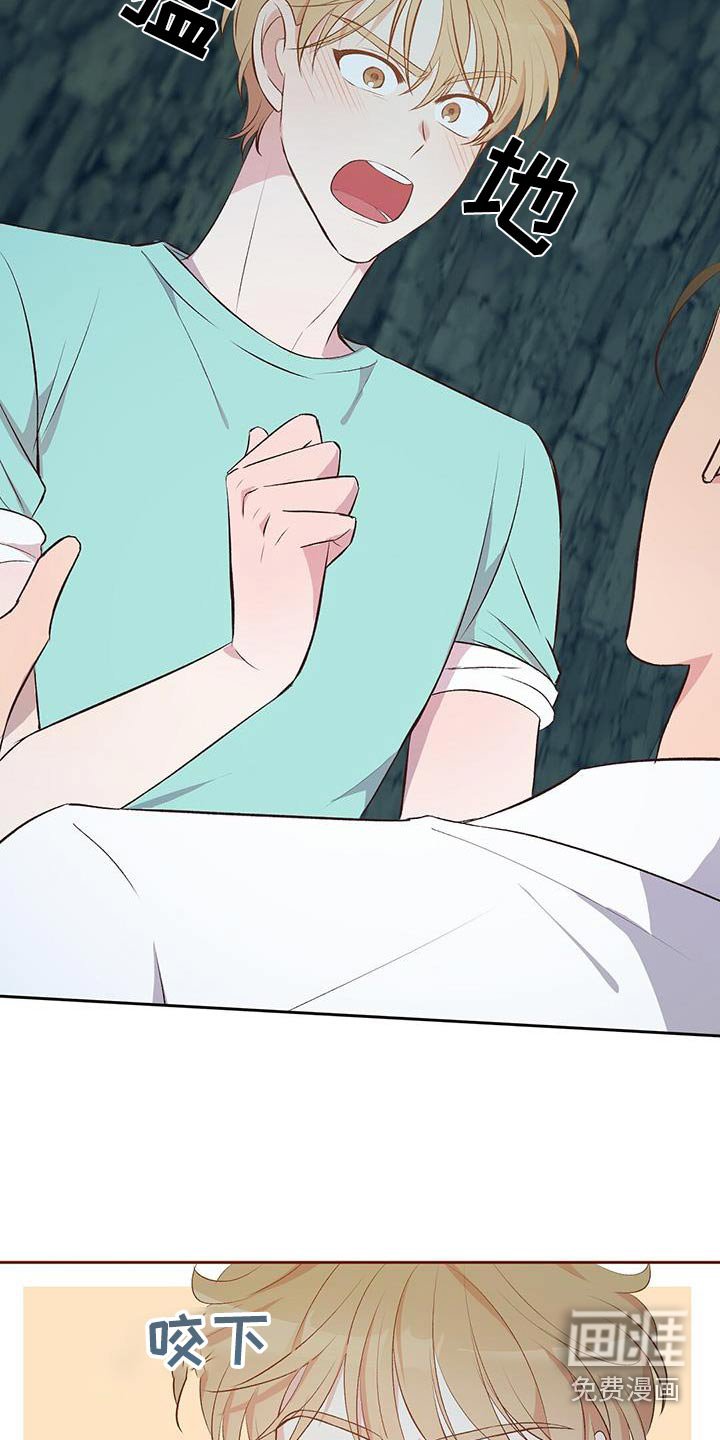 第23章：猴子