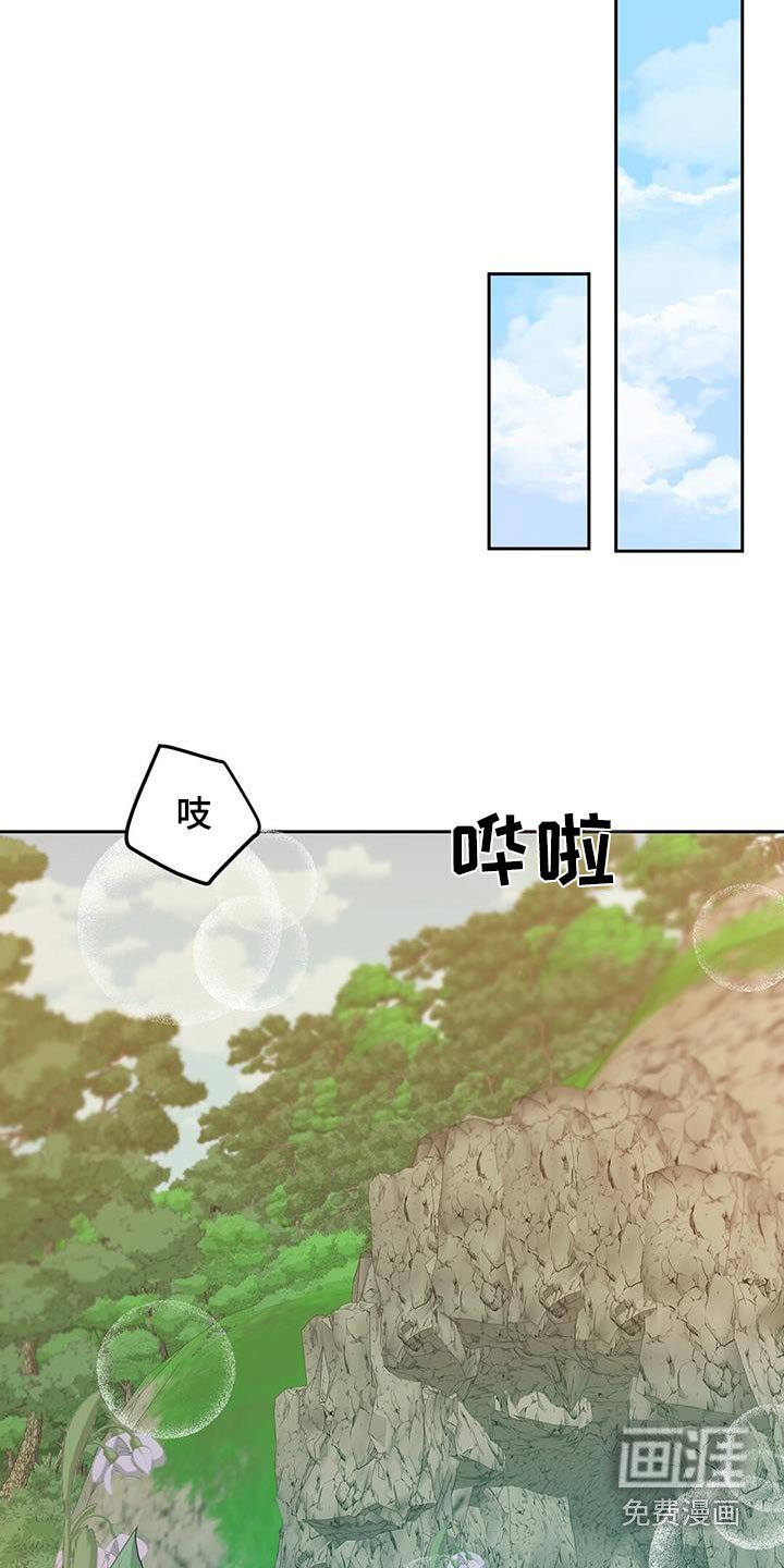 第23章：猴子