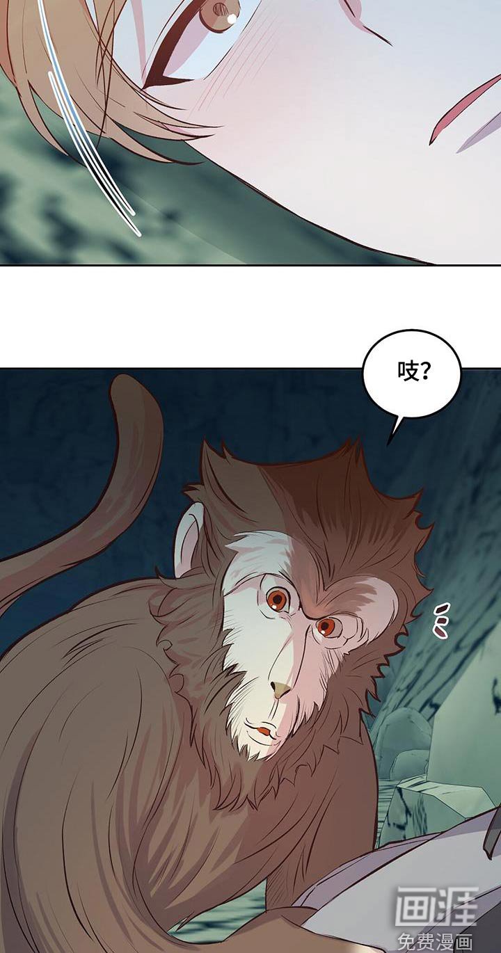 第23章：猴子