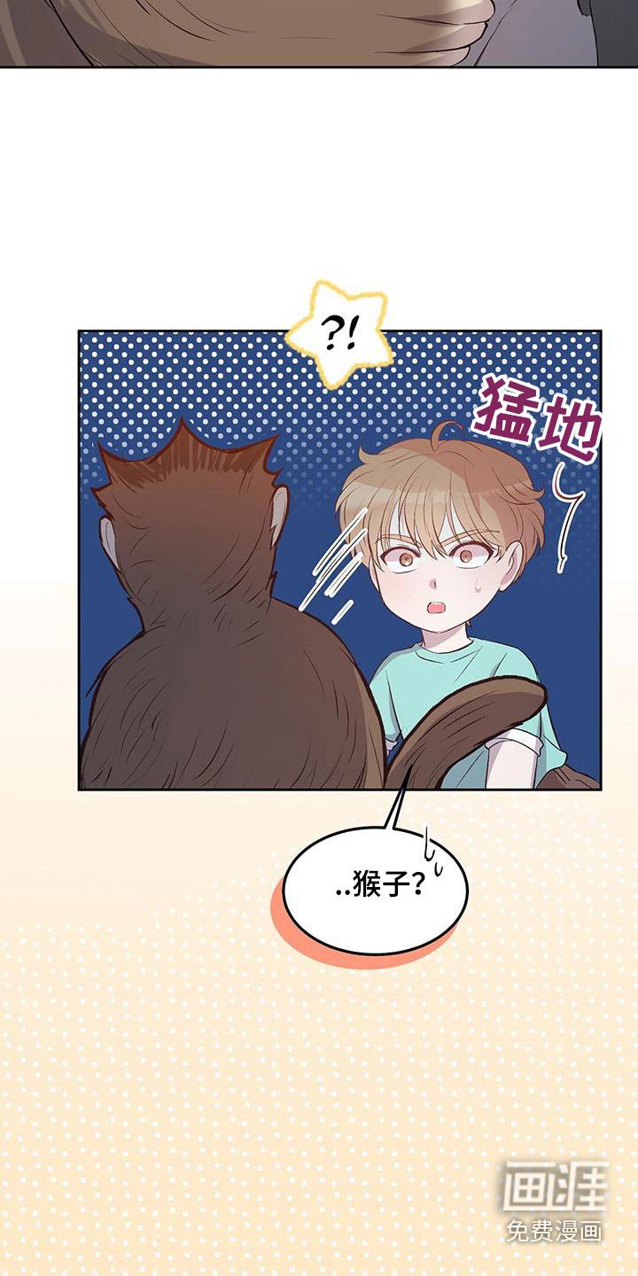 第23章：猴子