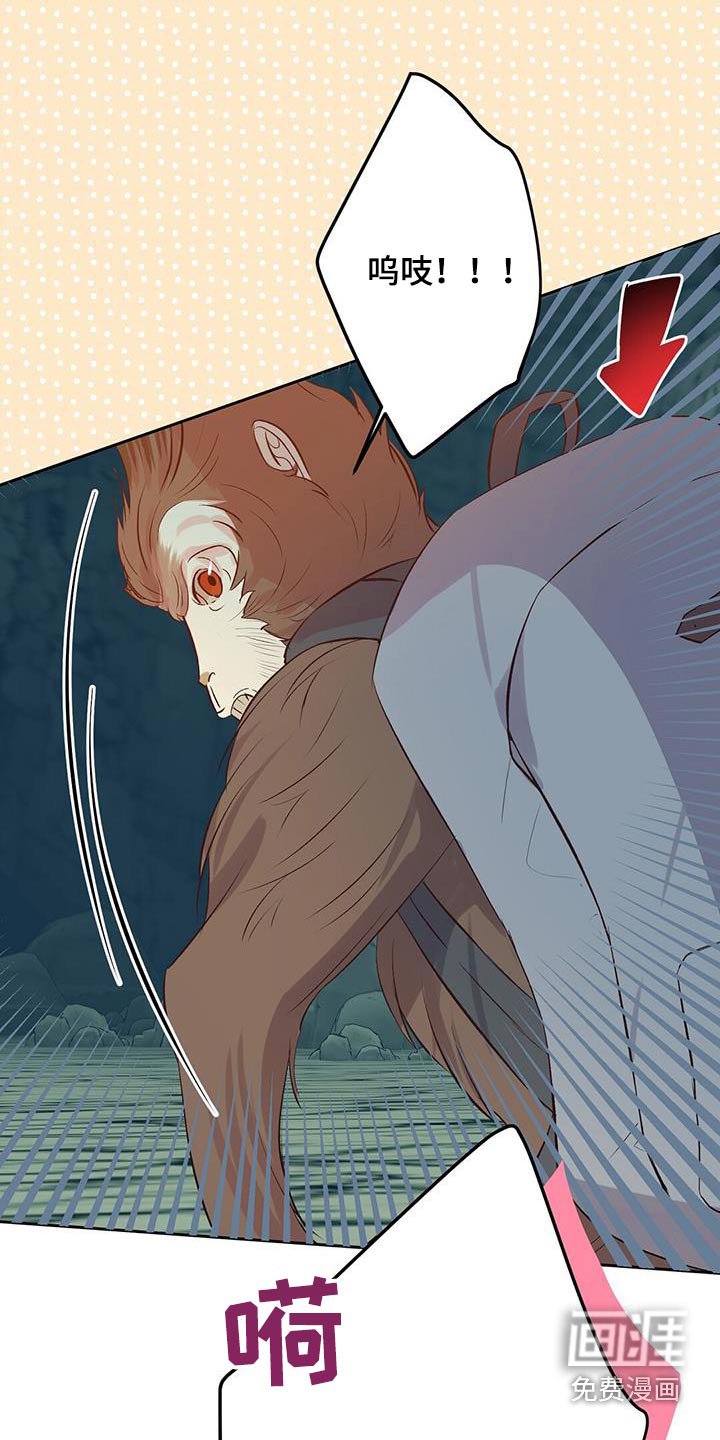第23章：猴子