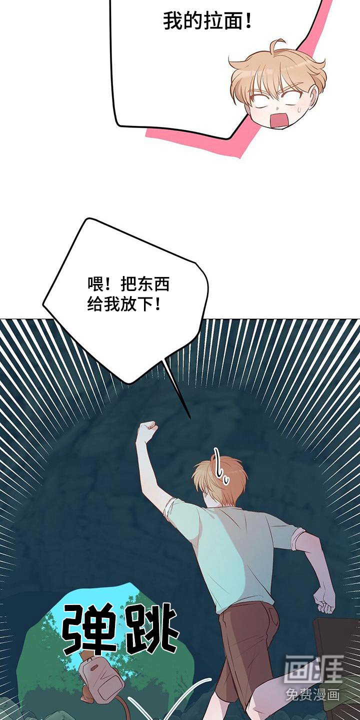 第23章：猴子