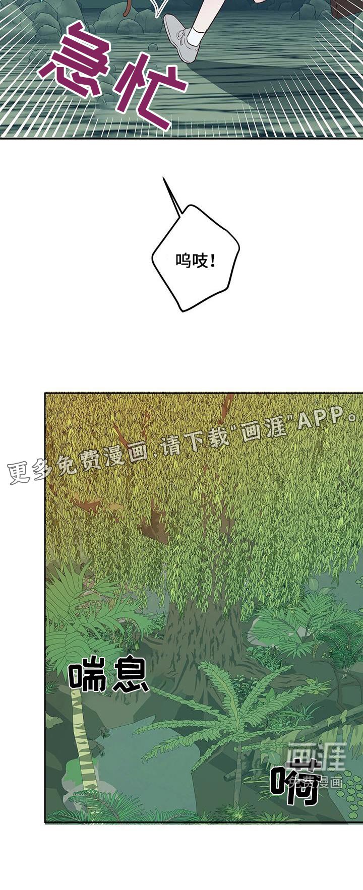 第23章：猴子