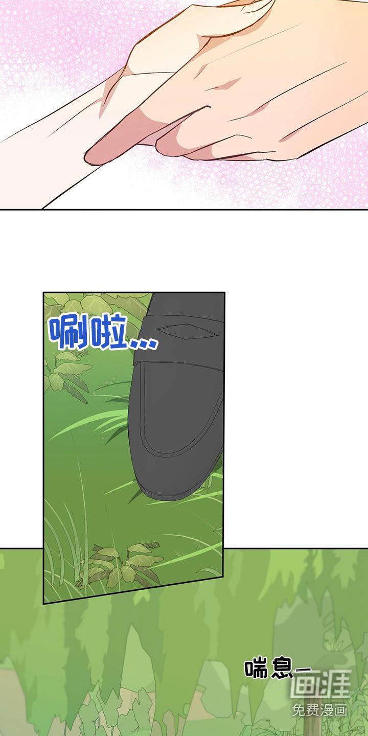 第26章：有个小岛