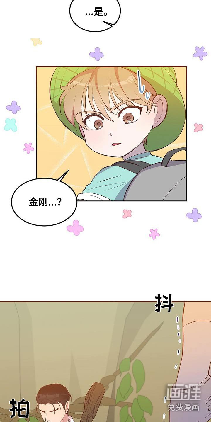第26章：有个小岛