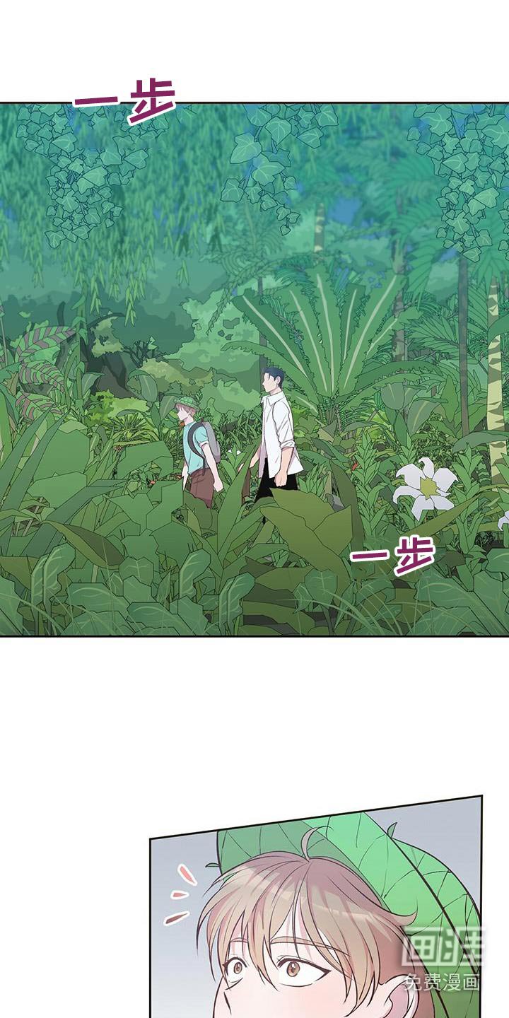 第27章：椰子