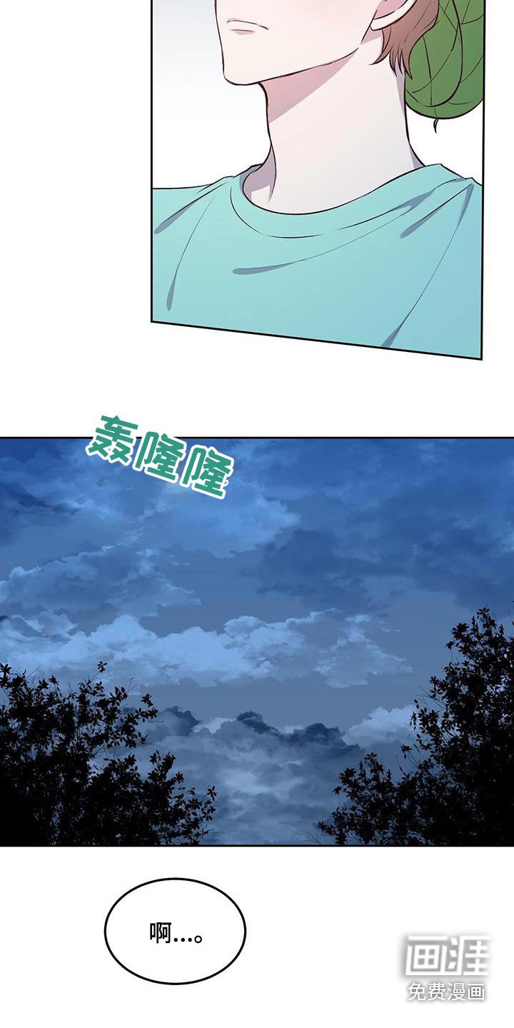 第27章：椰子