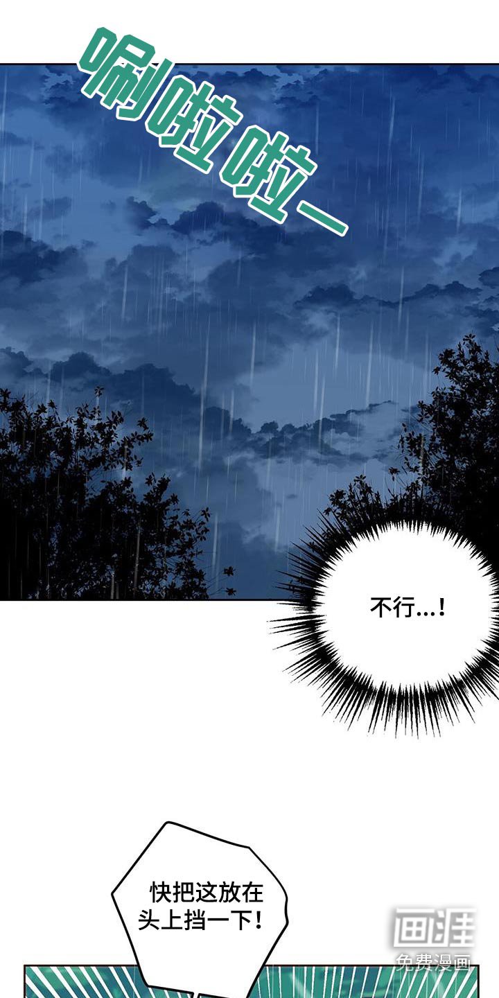 第27章：椰子
