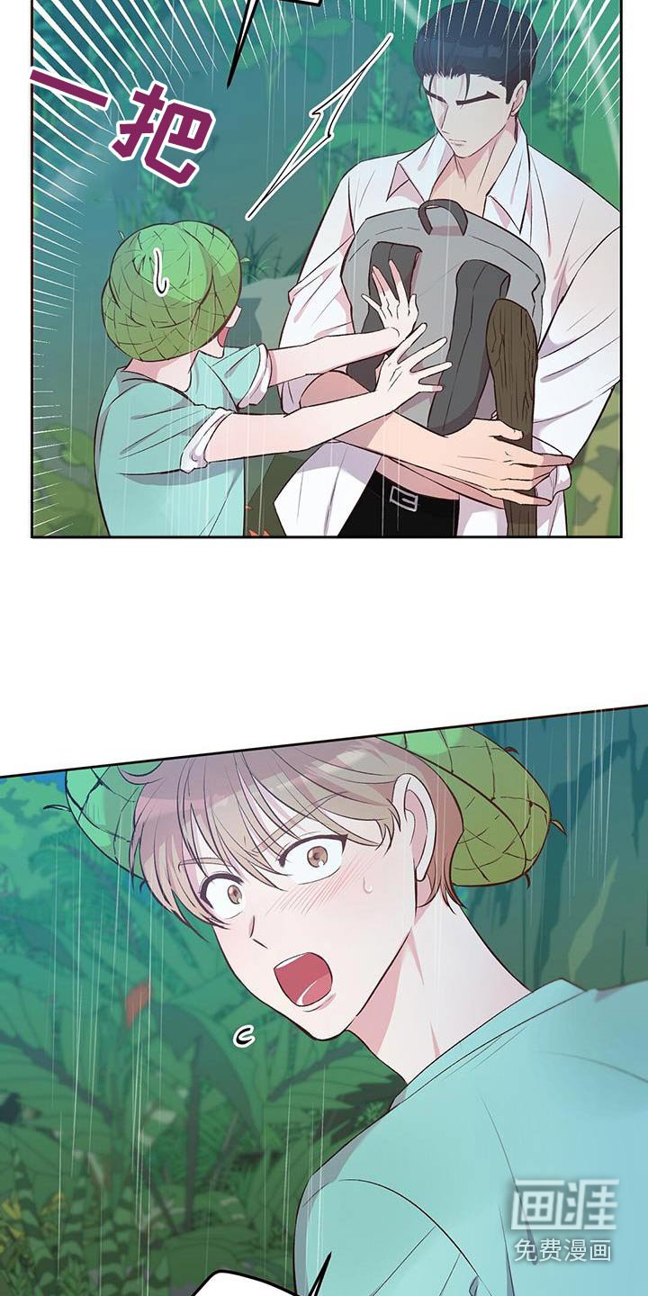 第27章：椰子
