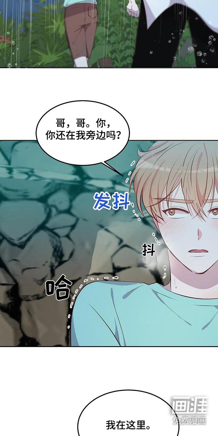第27章：椰子
