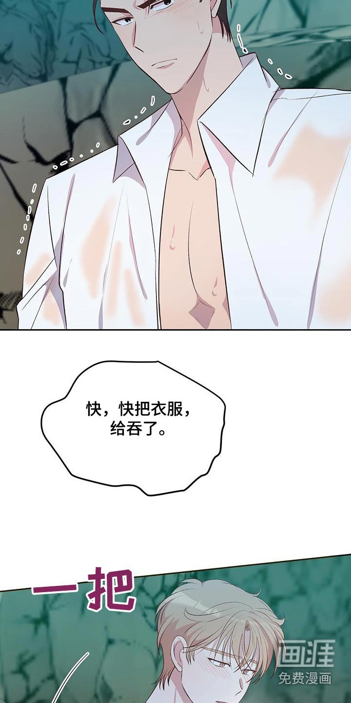 第27章：椰子