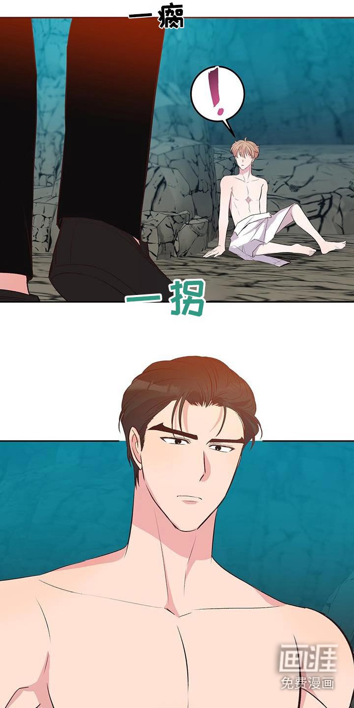 第27章：椰子