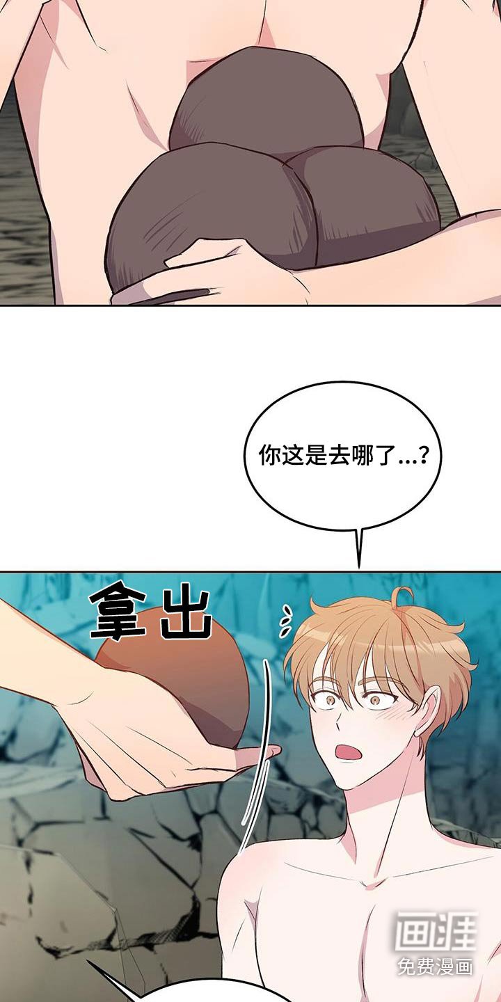 第27章：椰子