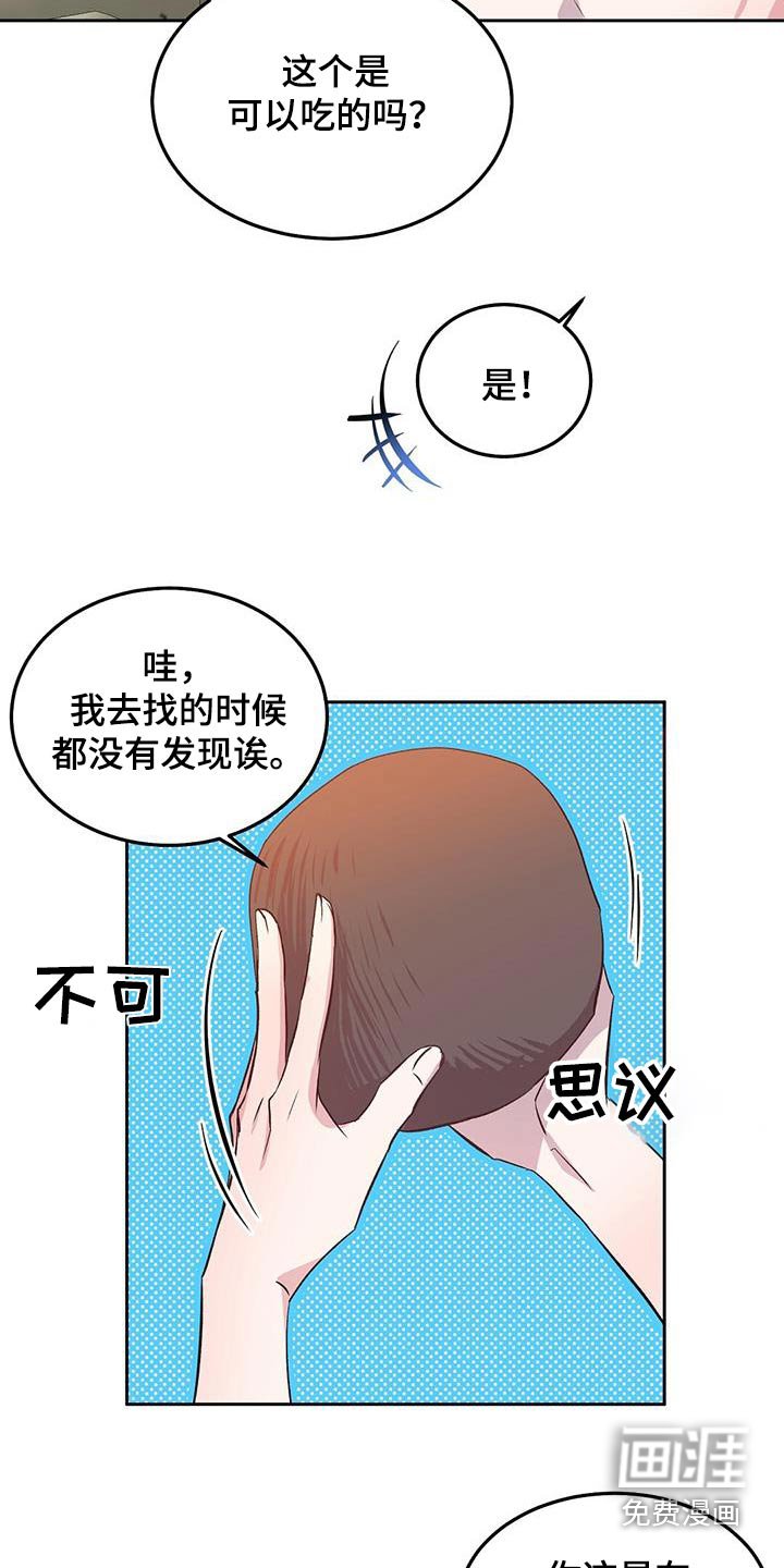 第27章：椰子