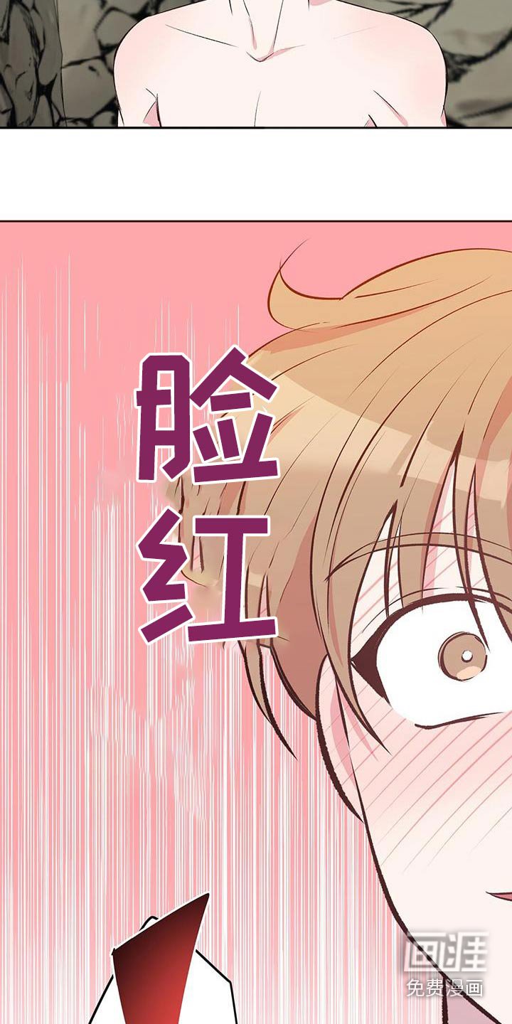 第27章：椰子
