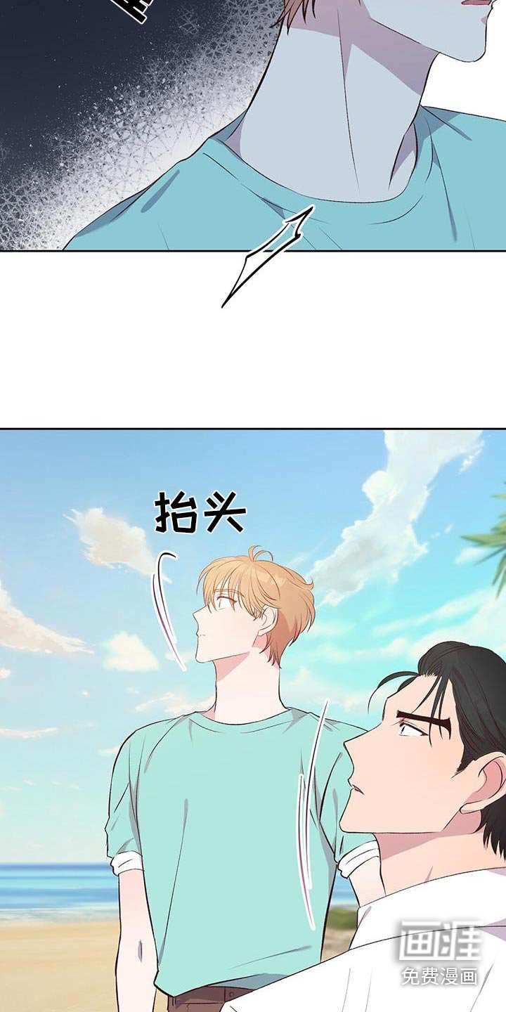 第29章：飞机