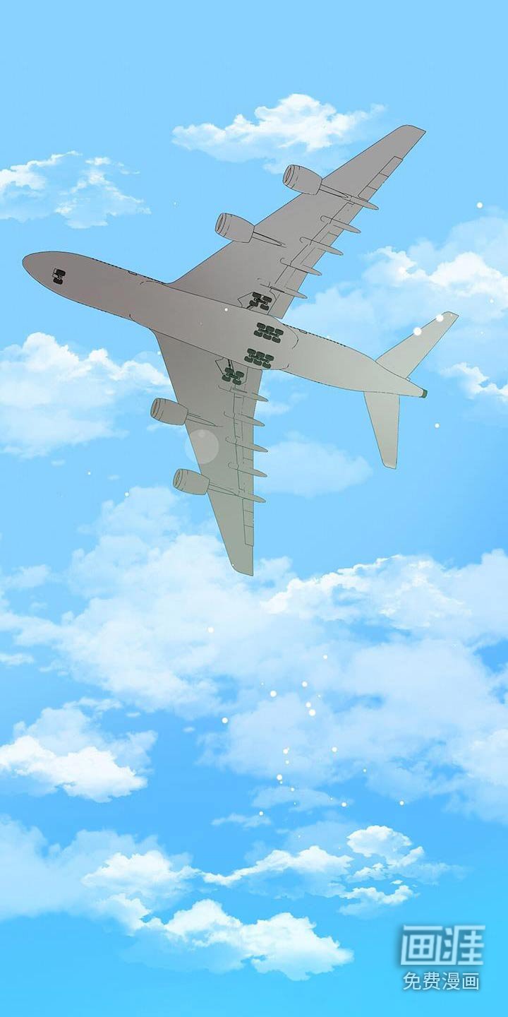 第29章：飞机