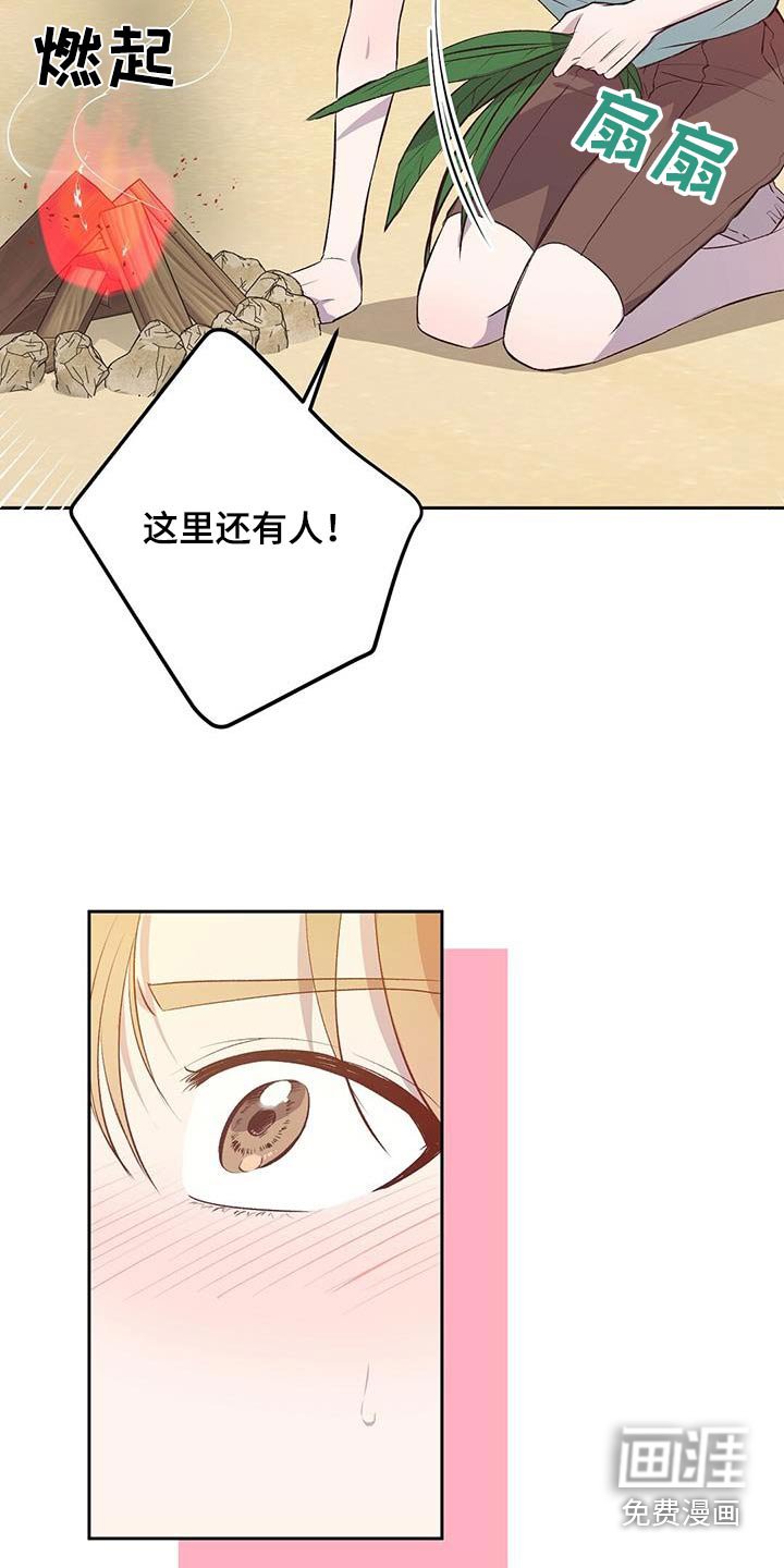 第29章：飞机