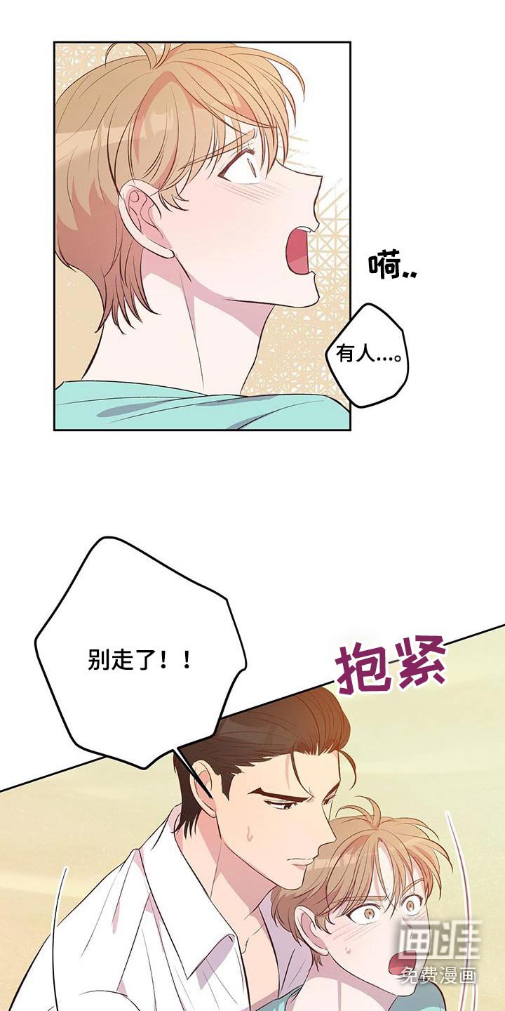 第29章：飞机