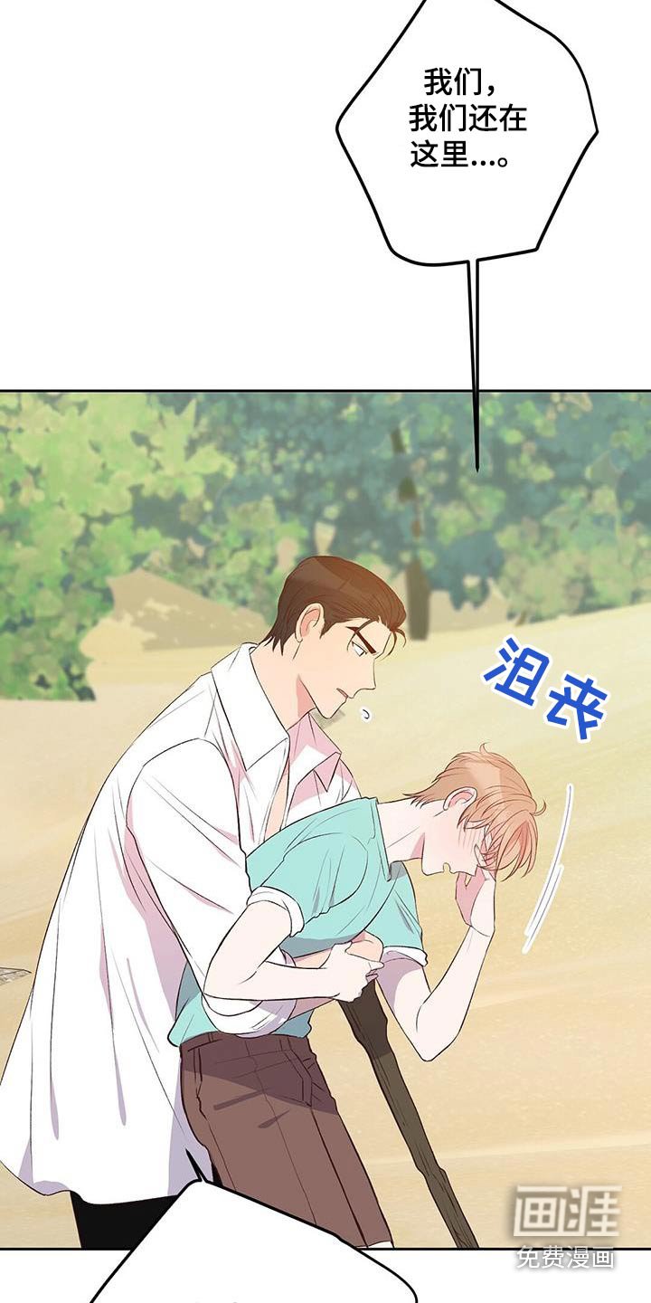 第29章：飞机