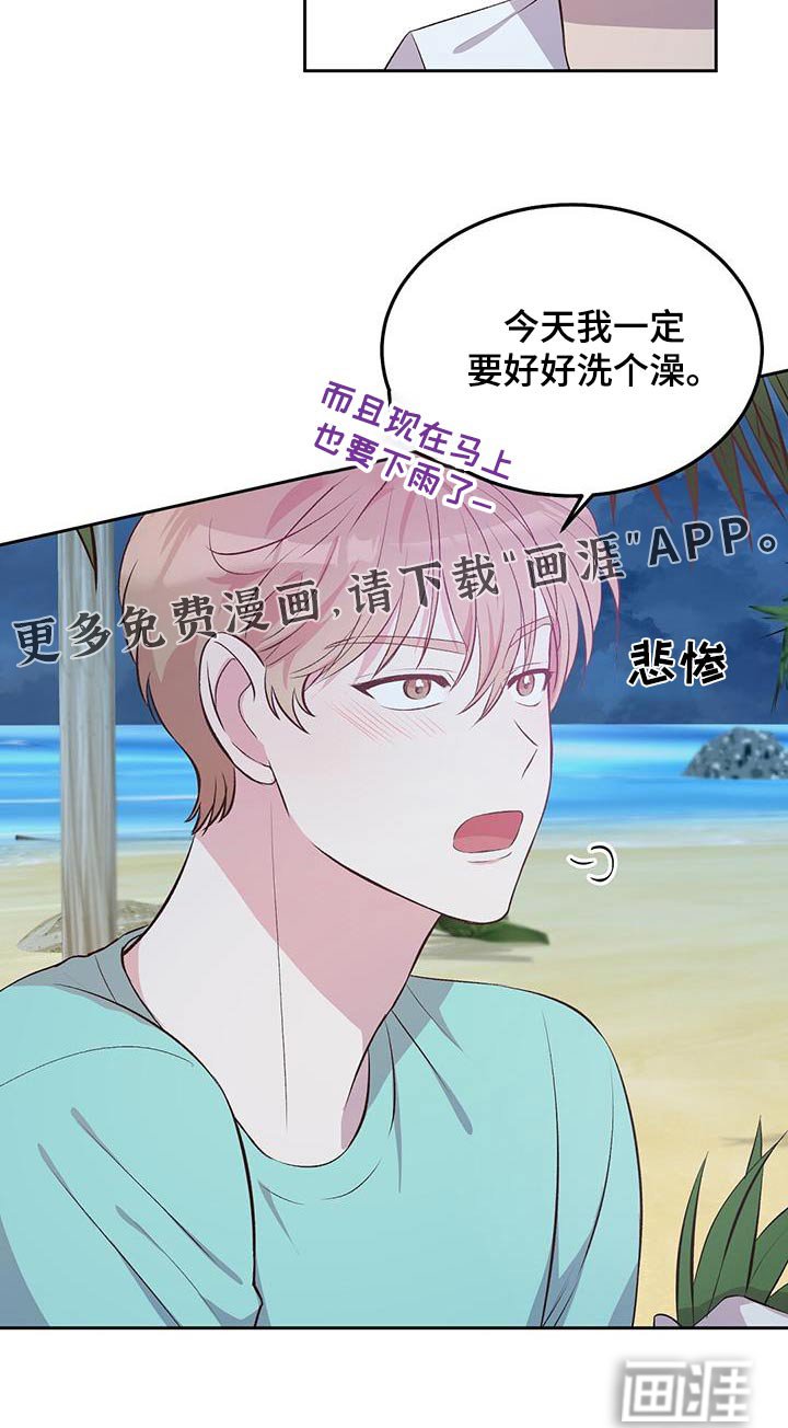 第29章：飞机