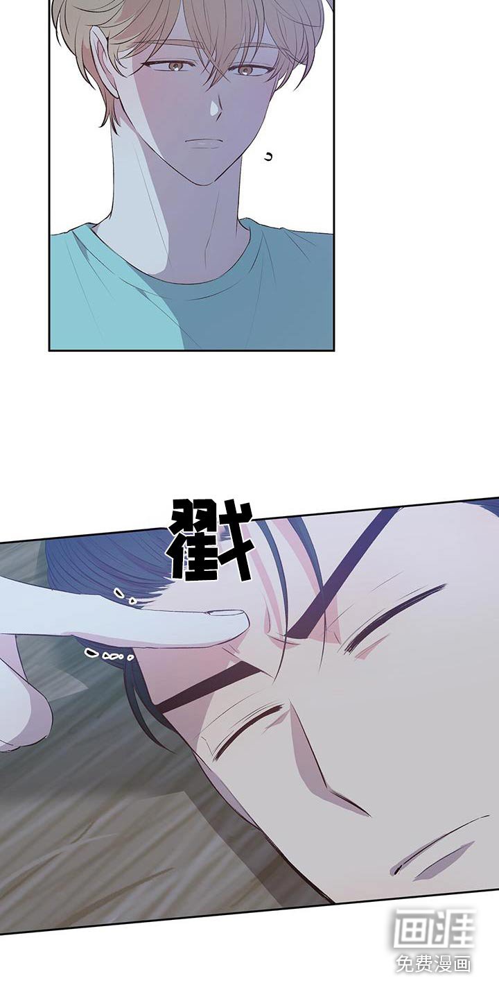 第33章：椰子蟹
