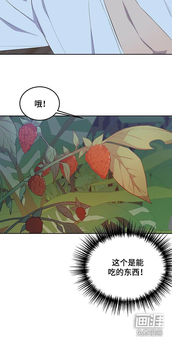 第33章：椰子蟹