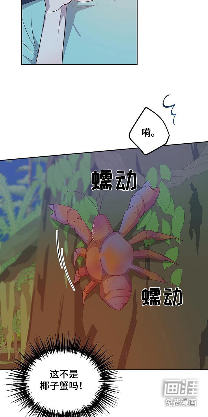 第33章：椰子蟹
