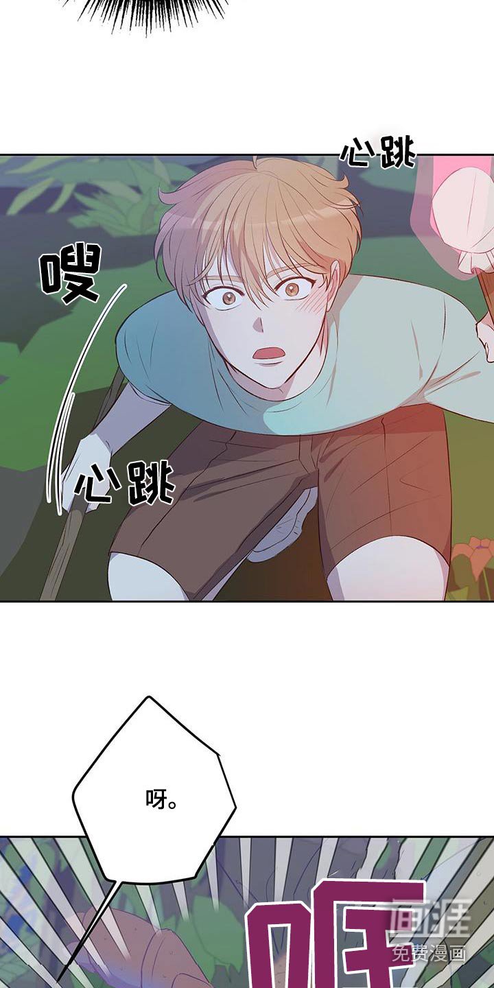 第33章：椰子蟹