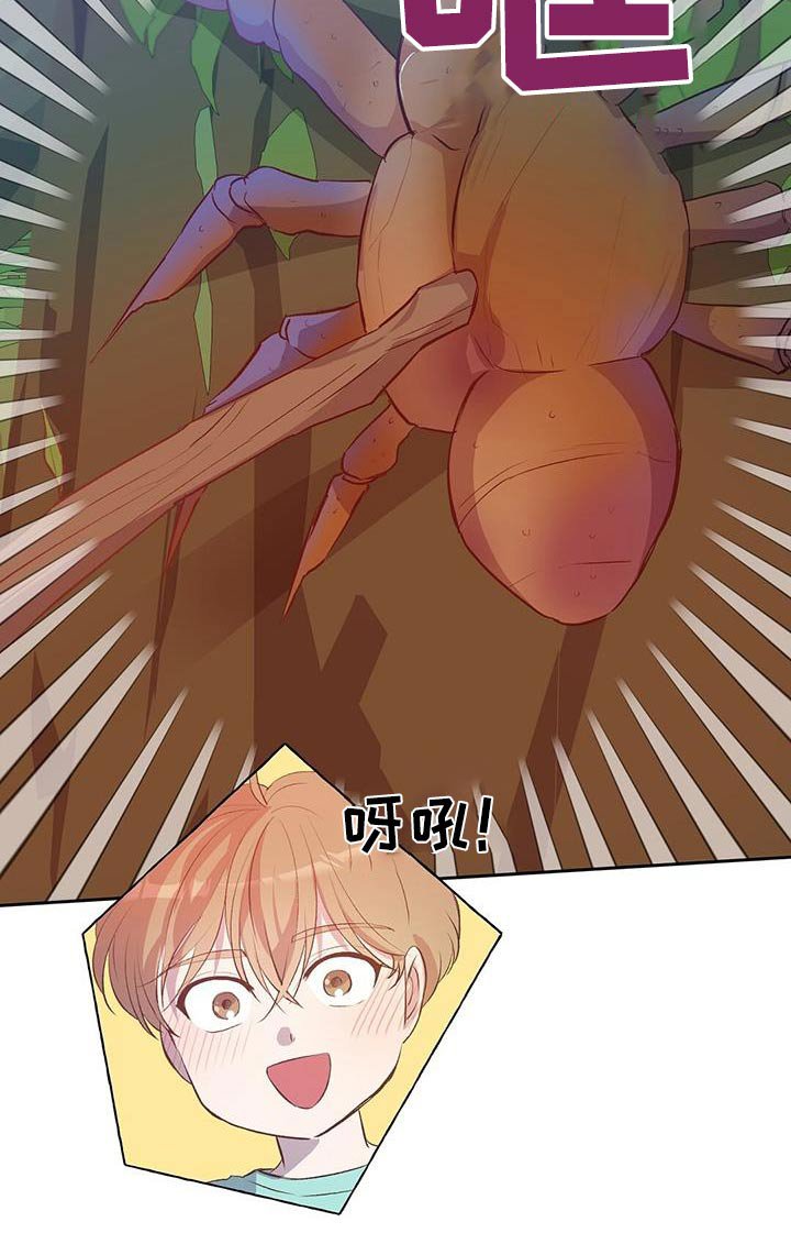 第33章：椰子蟹