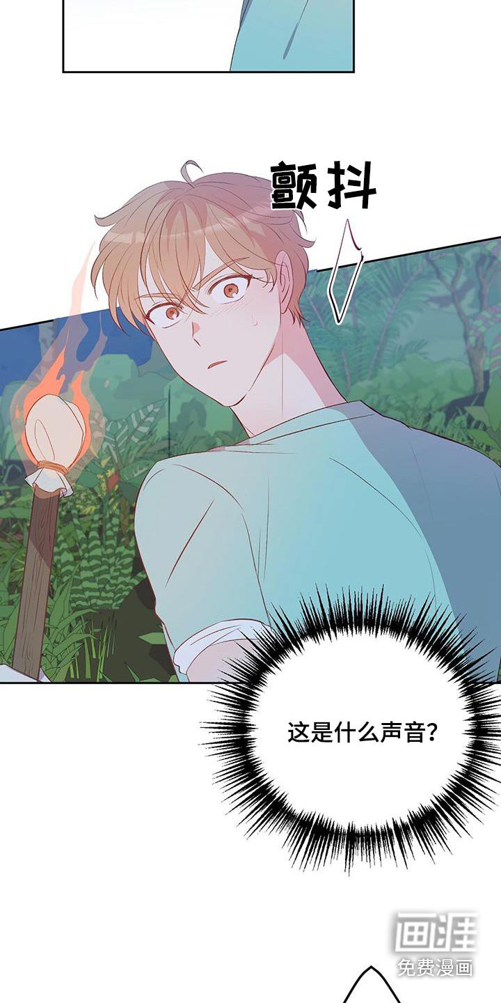 第33章：椰子蟹