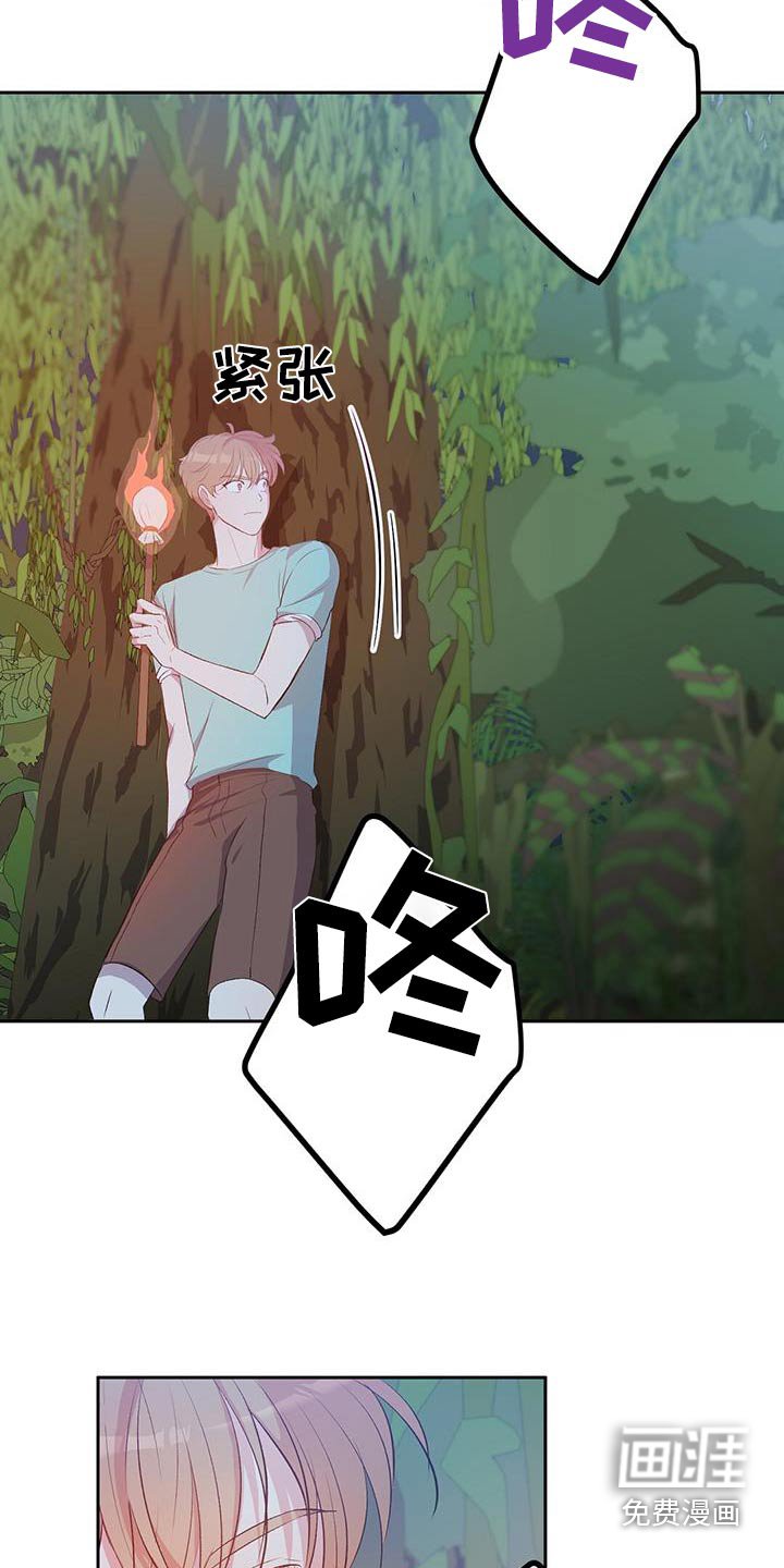 第33章：椰子蟹