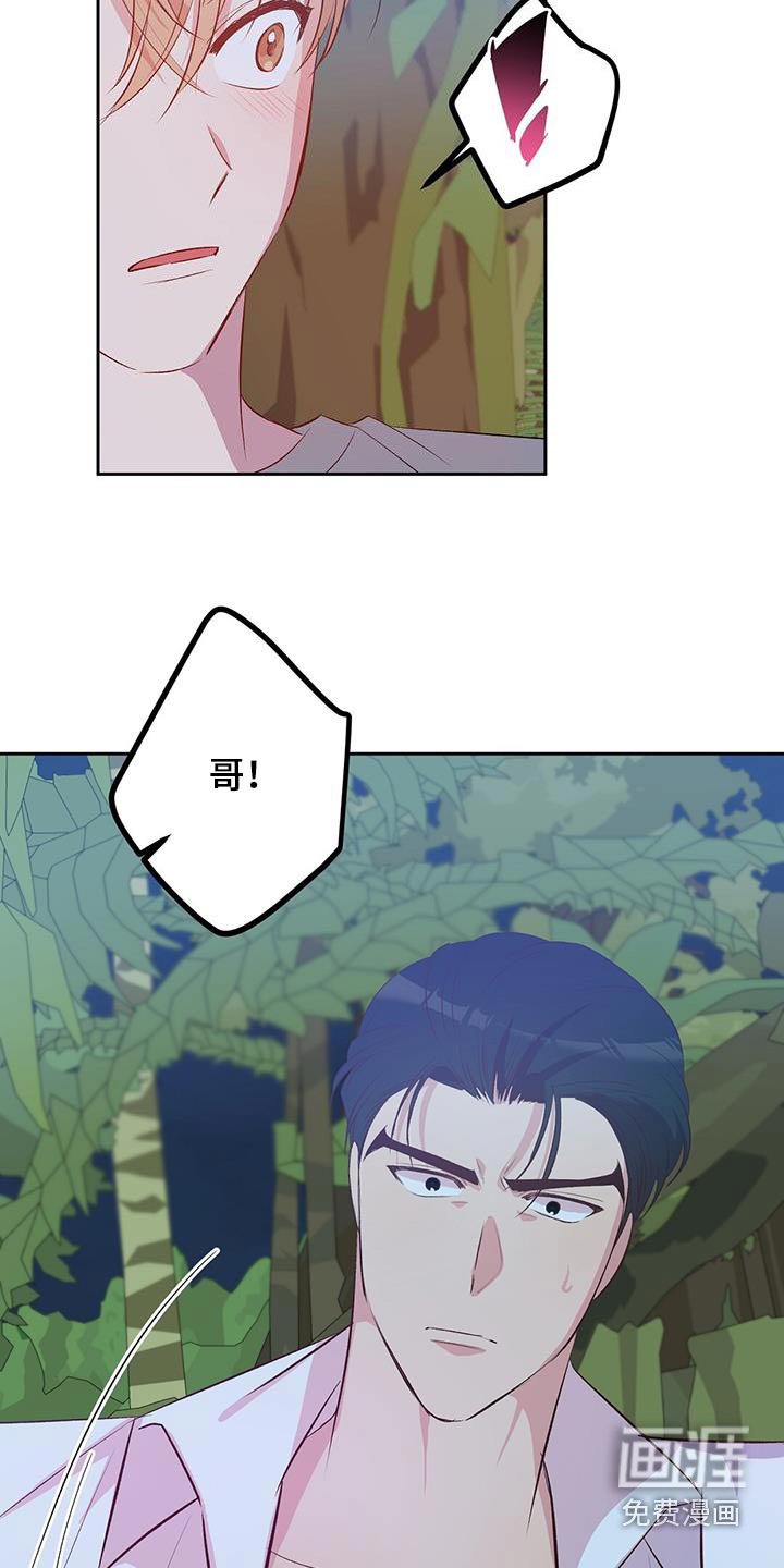 第33章：椰子蟹